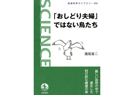 楽天ブックス おしどり夫婦 ではない鳥たち 濱尾章二 本 楽天ブックス おしどり夫婦 ではない鳥たち 濱尾章二 本